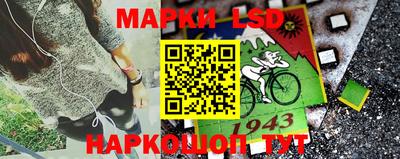 крисы Краснодар
