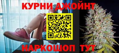 крисы Краснодар