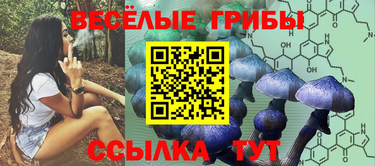 Галлюциногенные грибы Psilocybine cubensis Ишимбай
